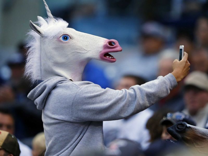 unicornio